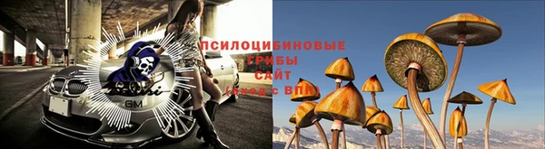 эйфоретик Алзамай