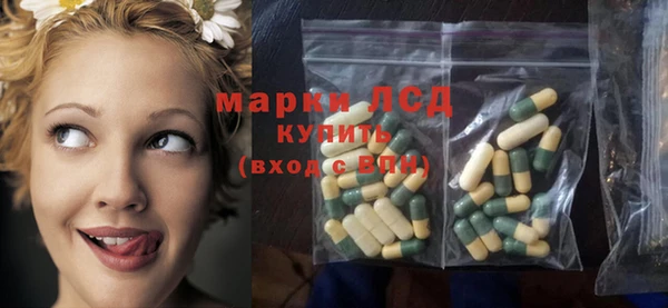 эйфоретик Алзамай