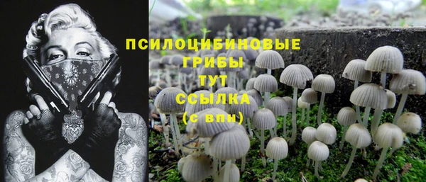дживик Алексин