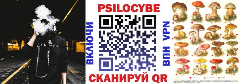 где купить наркоту  Алушта  Псилоцибиновые грибы GOLDEN TEACHER 