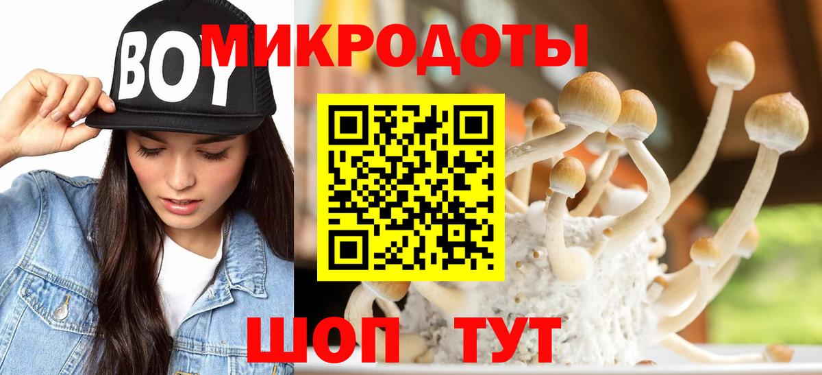 Галлюциногенные грибы мухоморы Алушта